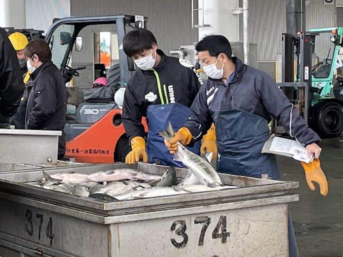 【中古】斜里漁業史 (1979年) たった10年で漁獲高が半分に…サケ漁“日本一”北海道斜里町による「絶望