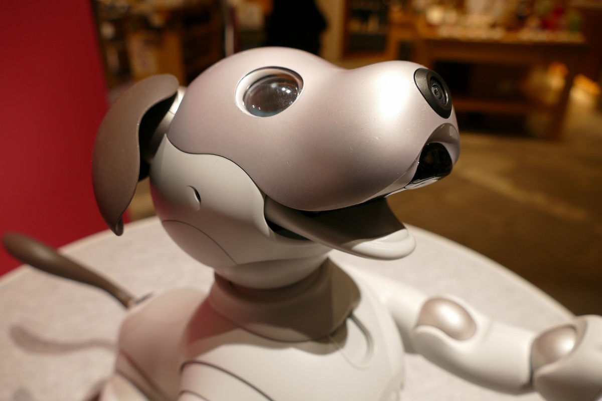 家庭用コミュニケーションロボットは、性能ではなく「人の変化の物語